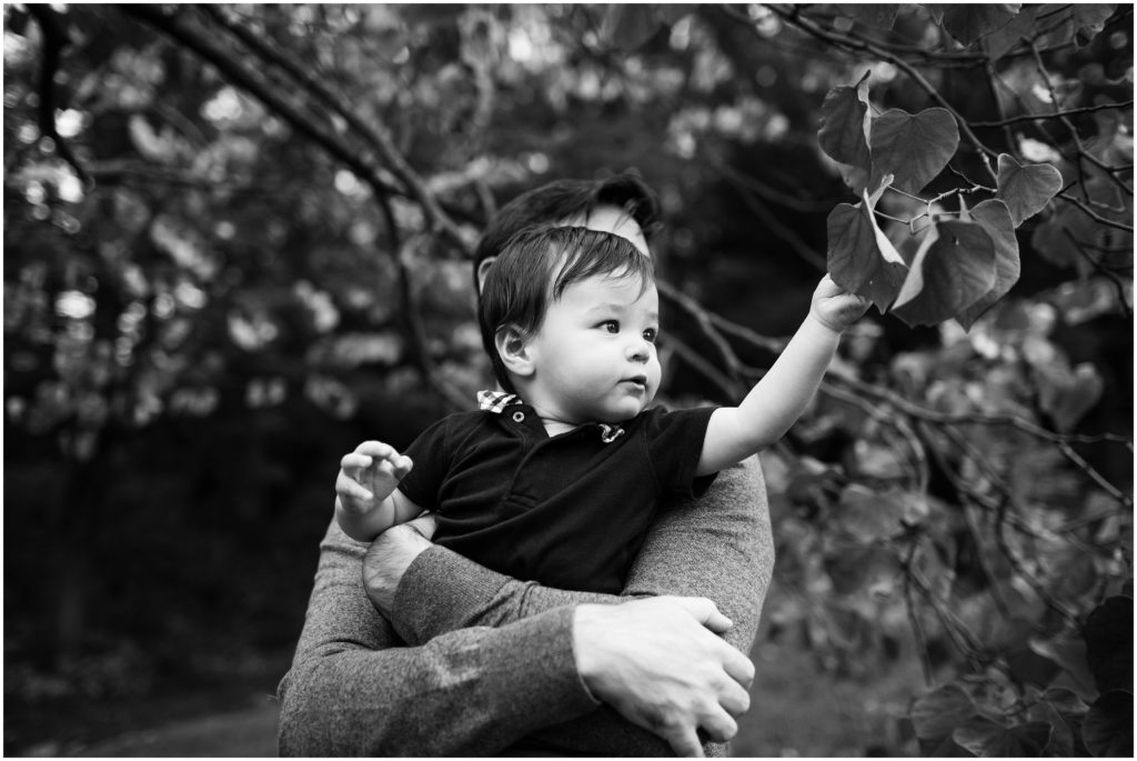 little-boy-reaching-for-leaves-massachusetts-photographer