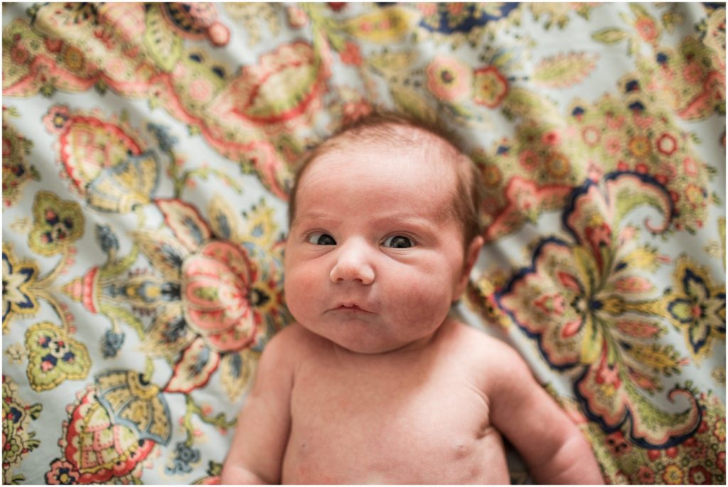 newborn-baby-naked-on-quilt-newborn-photographer