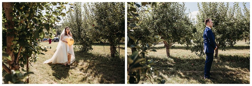 first-look-in-orchard