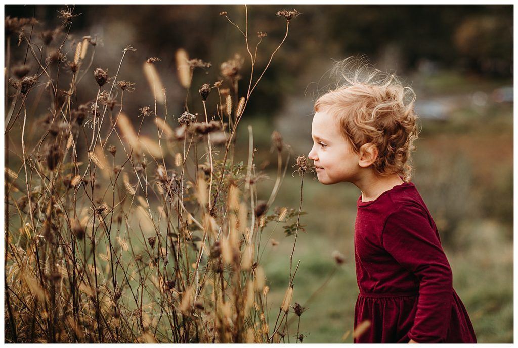 toddler-smelling-flowers-boston-family-photography