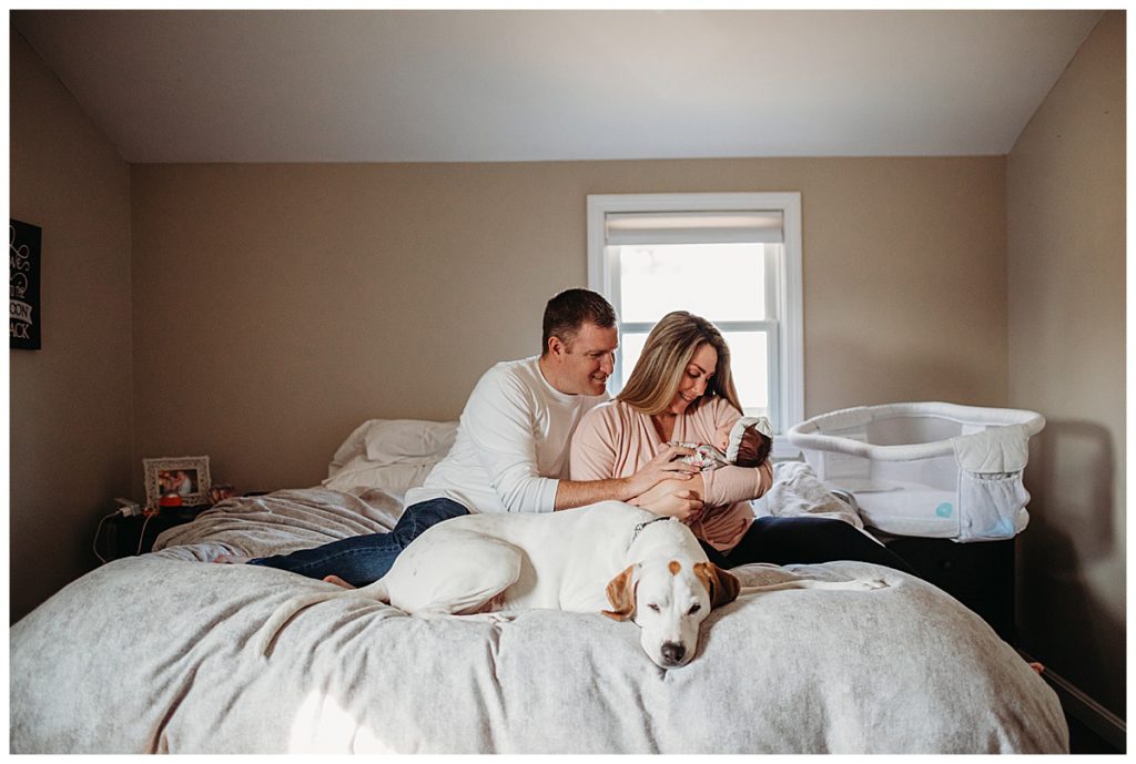 boston-newborn-photographer-family-with-dog-on-bed