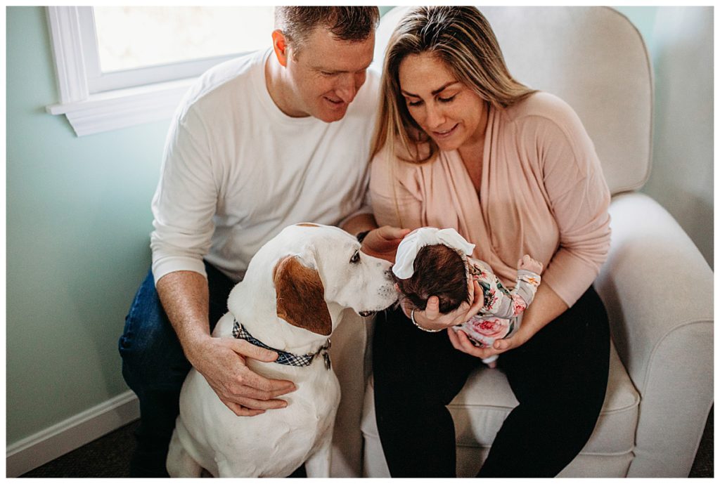 dog-smelling-baby-head-boston-newborn-photographer