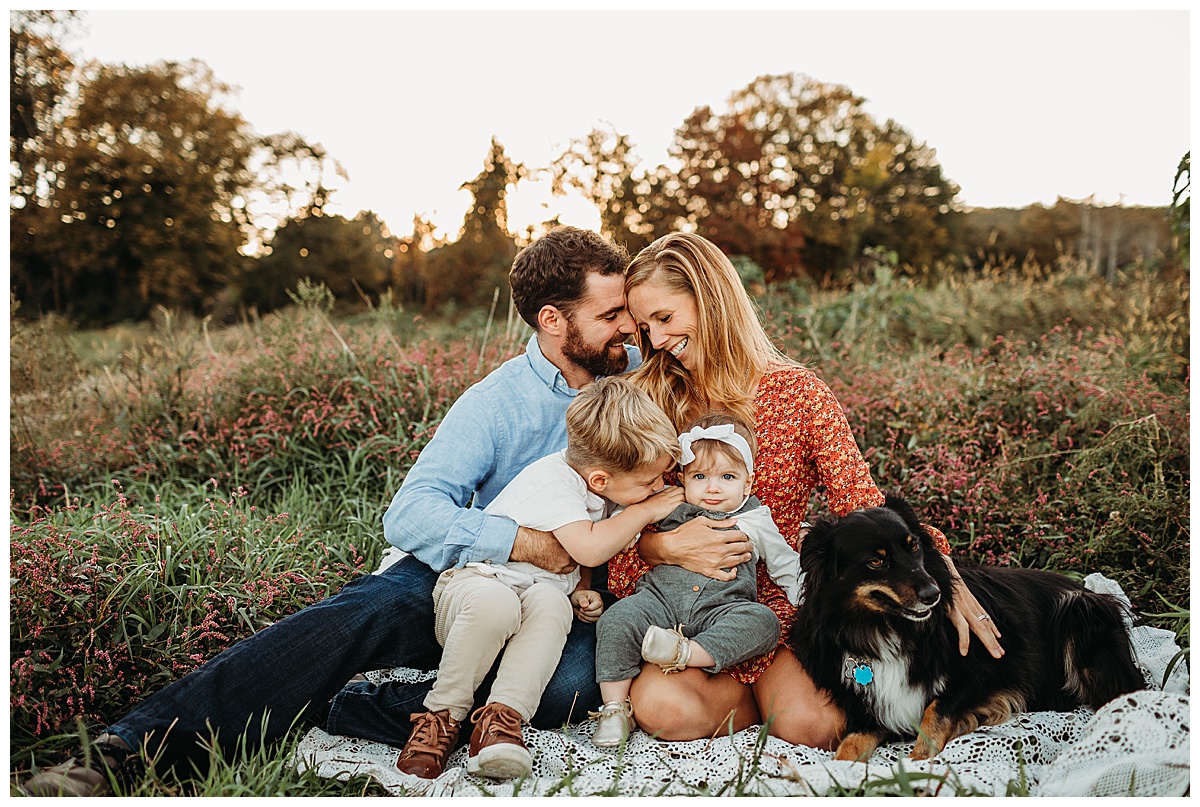 family of four on blanket with dog in field at sunset in family session