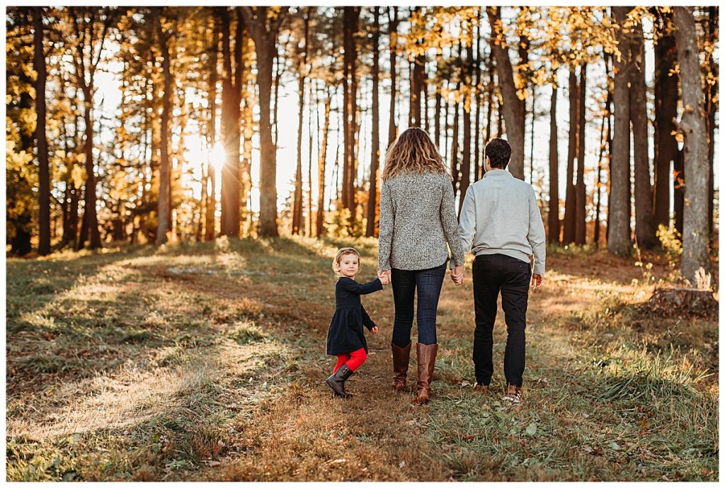 family-holding-hands-and-walking-into-forest-at-sunset