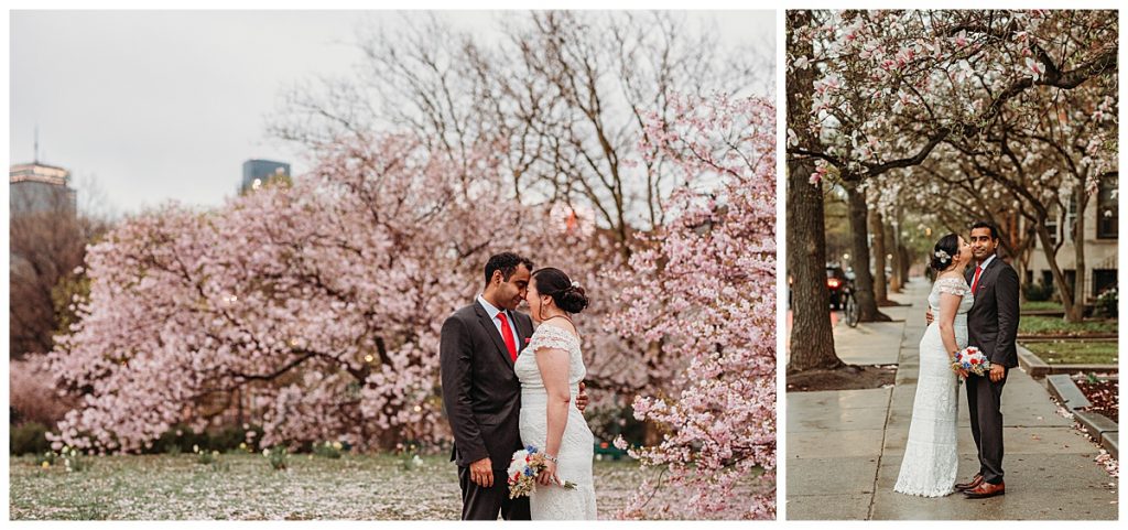 bride and groom with cherry blossoms on boston esplanade