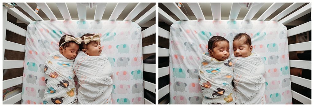 twin baby girls are swaddled together in their crib during photo shoot