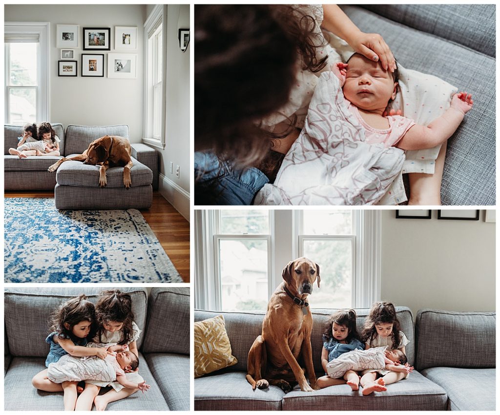 big sisters hold new baby on couch with large dog during family photos 