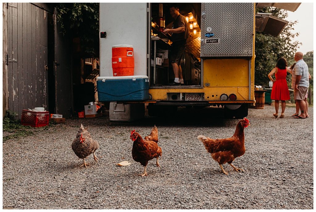 ideal wedding client has chickens eating tortillas from a food truck