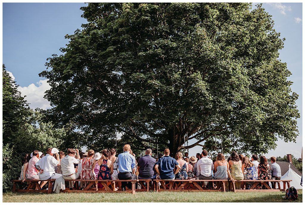 wedding outdoor on benches under a tree