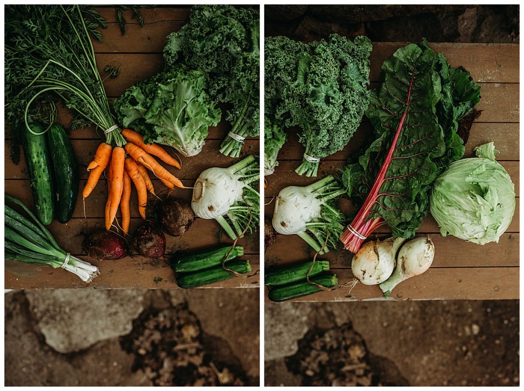 what comes in a CSA box from the food project