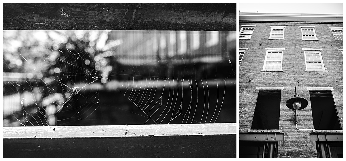 5 Ways To Make Photographer Friends Boston Family Photography