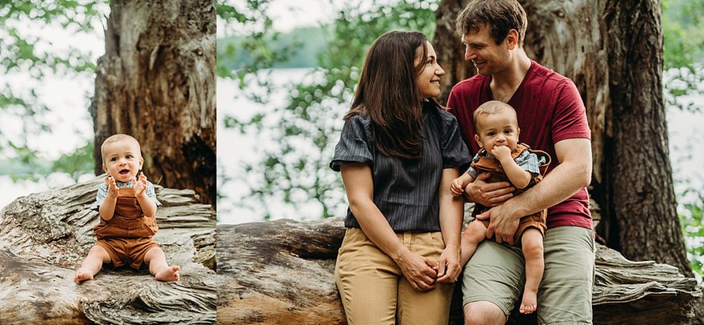 family sits on log in woods for family photoshoot