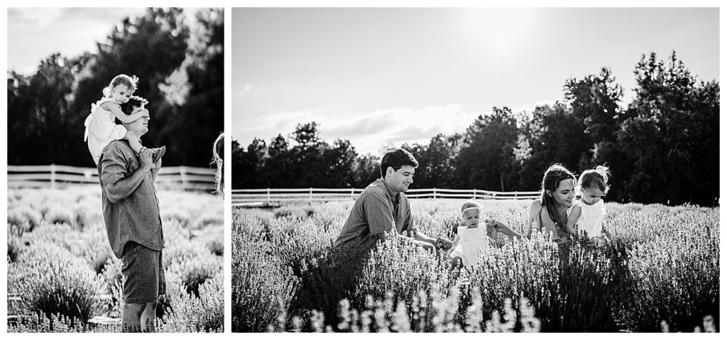 black and white lavender field session