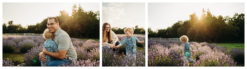 little boy runs through lavender field at sunset photo shoot