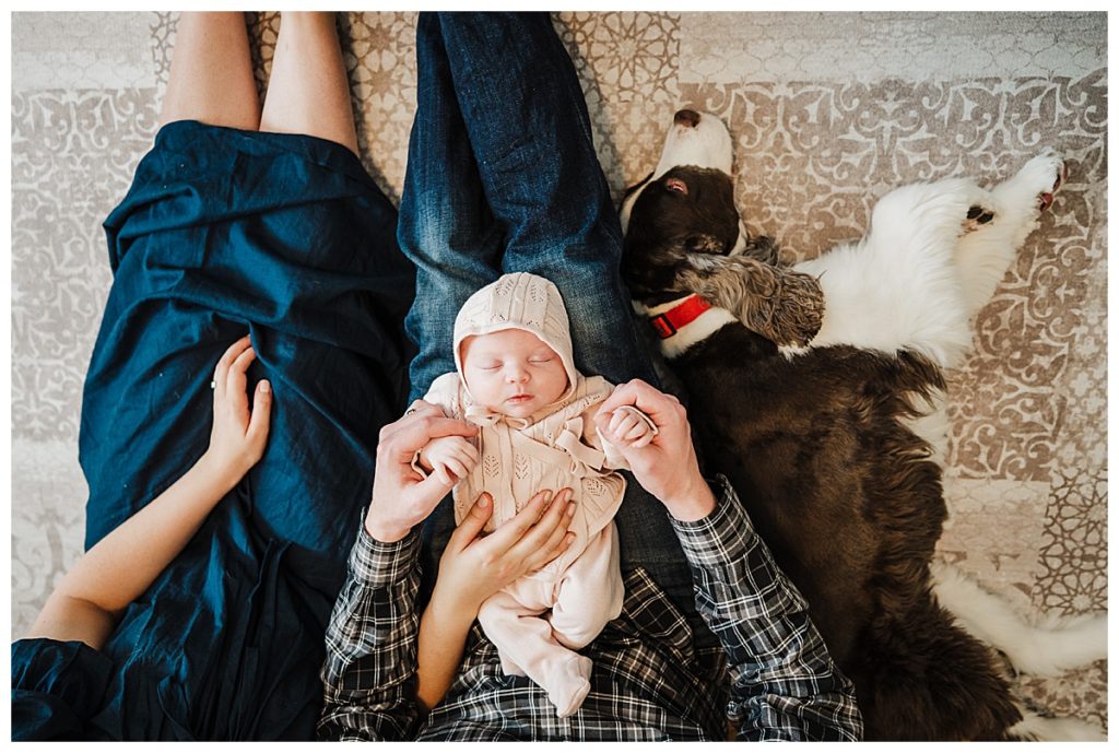 overhead photo of parents holding baby girl on lap with dog laying nearby