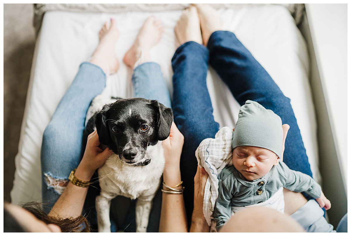 puppy and new baby together during newborn photo session
