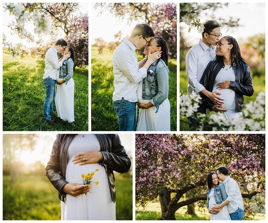 maternity session with spring blossoms in boston