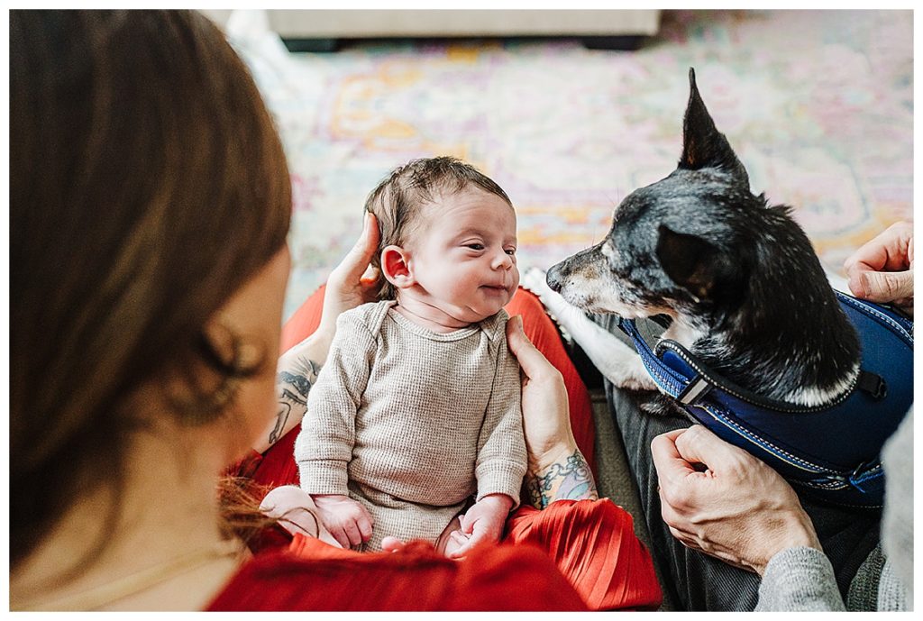 baby and dog look at each other during lifestyle newborn photos