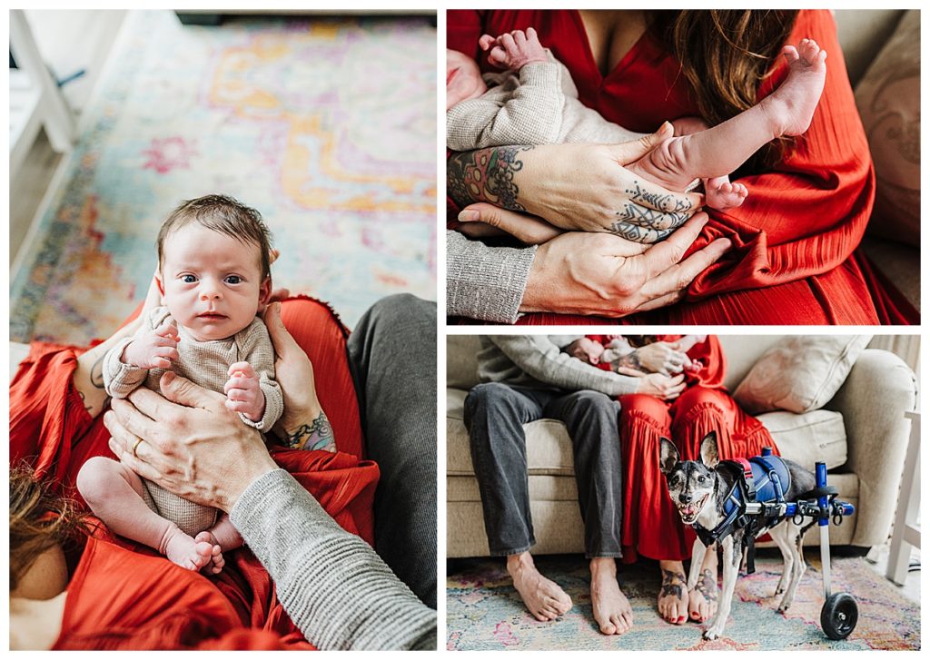 home newborn photoshoot in boston