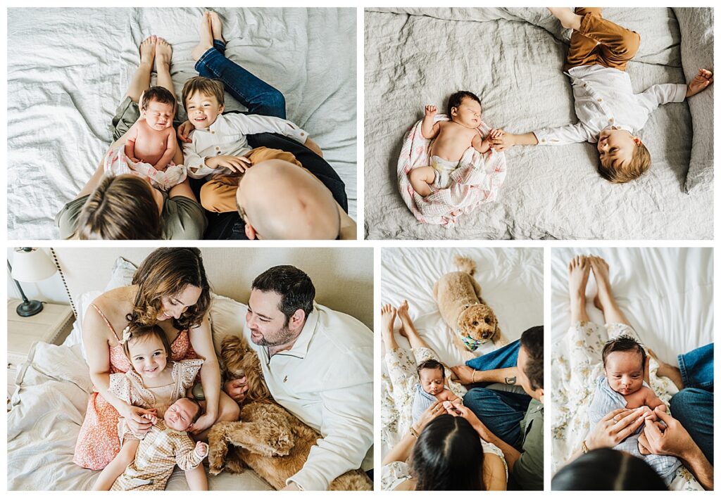 overhead photos on bed during boston newborn photos