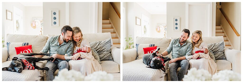 parents with new baby and black lab sit on couch in a neutral space for their natick newborn photos