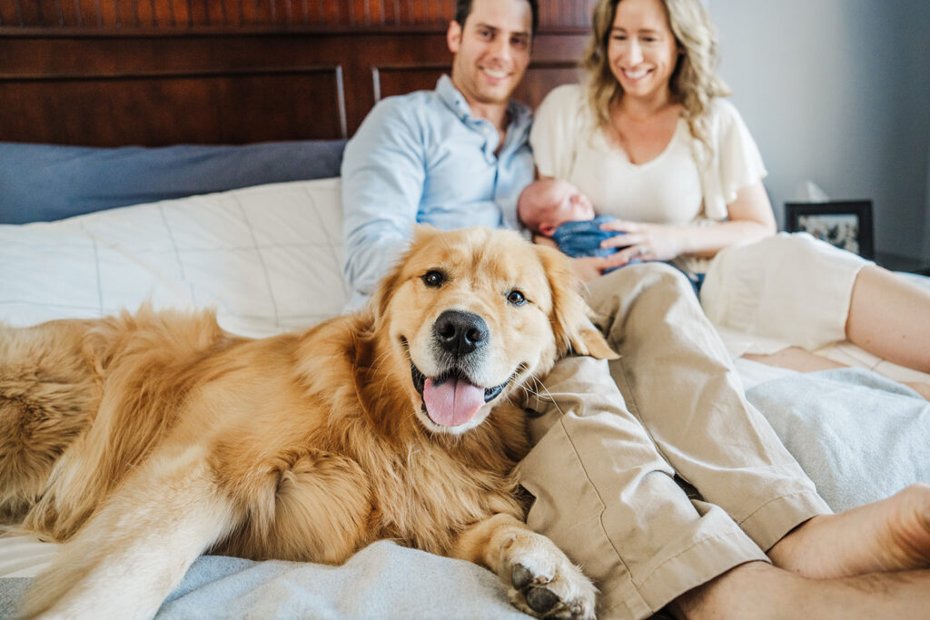 using flash photography in newborn photo sessions