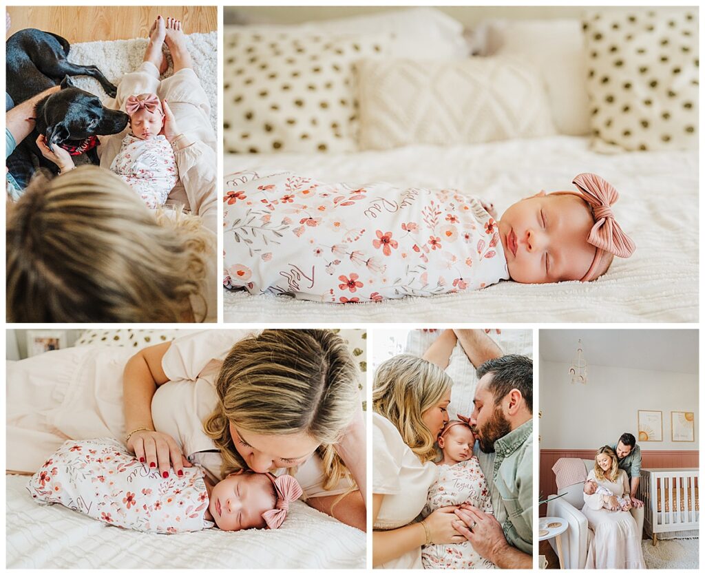 photos of a sleeping baby in a boston newborn photoshoot 